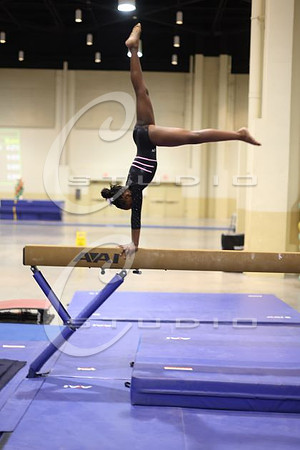 3O0A4956