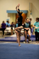 2Z5A5136