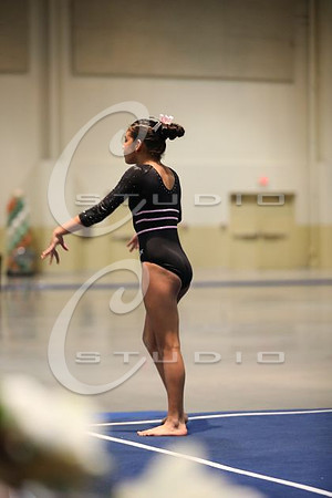 2Z5A1361