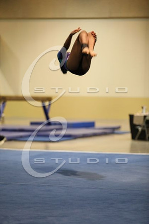 2Z5A6466
