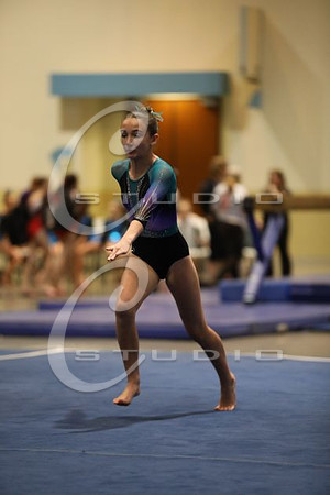 2Z5A1338