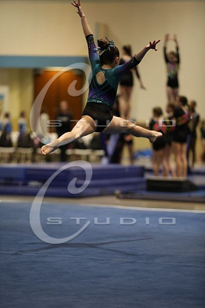 2Z5A2615