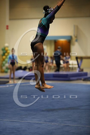 2Z5A2345