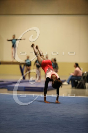 2Z5A5480