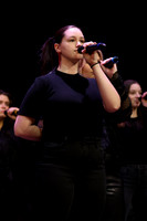 Brandon HS-Brilliance