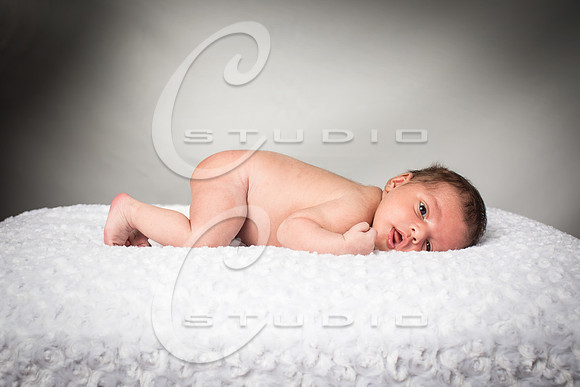 135A3887-tw-8x12