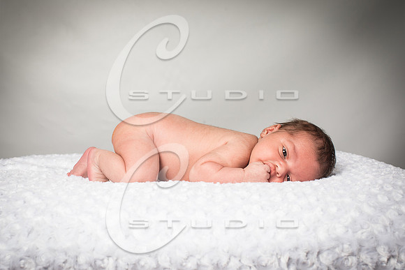 135A3897-tw-8x12
