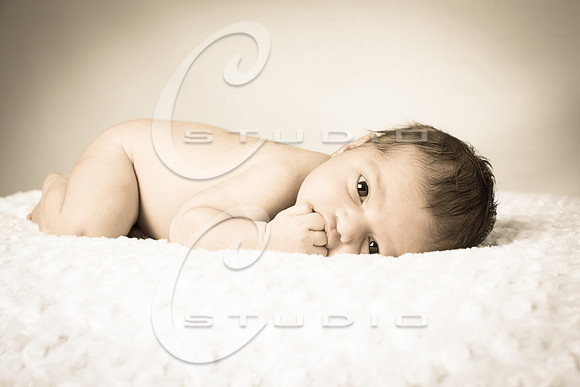 135A3908-tw-8x12