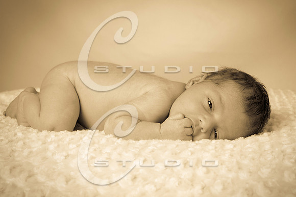 135A3913-tw-8x12