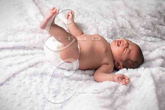 135A3942-tw-8x12