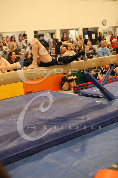 2Z5A4079