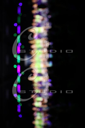 3O0A3381