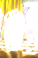 3O0A7729